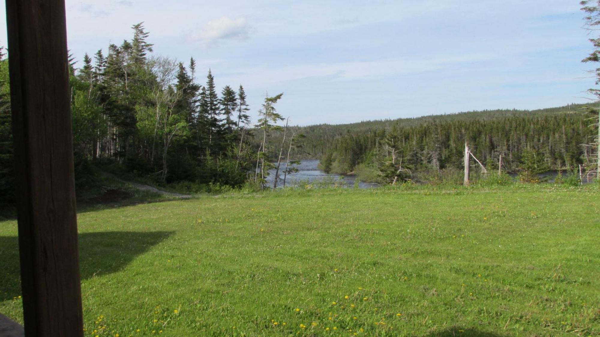 Riverside Chalets River of Ponds Exterior foto